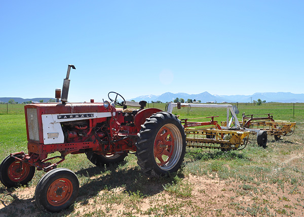 plant based farm to table